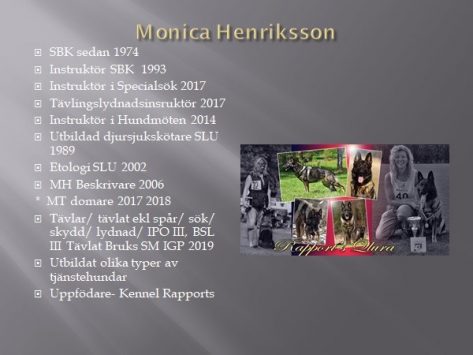 info_monica info_monica